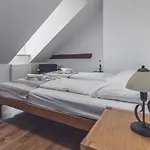 Hotel Nemojansky Mlyn 3*