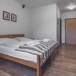 Nemojansky Mlyn Hotel 3*