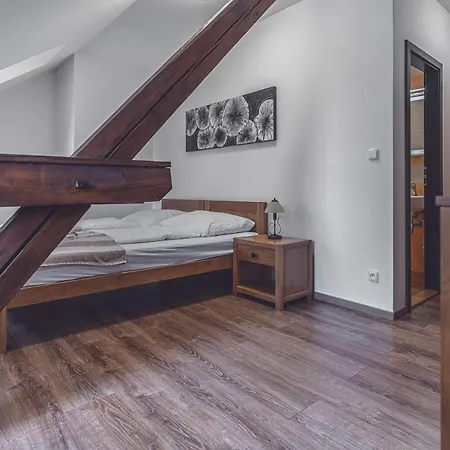 Nemojanský Mlýn Hotel 3*