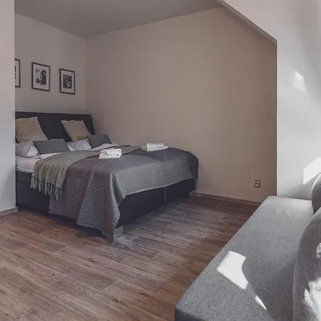 Hotel Nemojanský Mlýn 3*