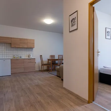 Hotel Nemojansky Mlyn 3*