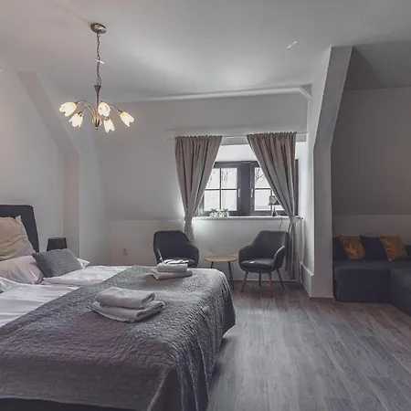 Hotel Nemojanský Mlýn 3*