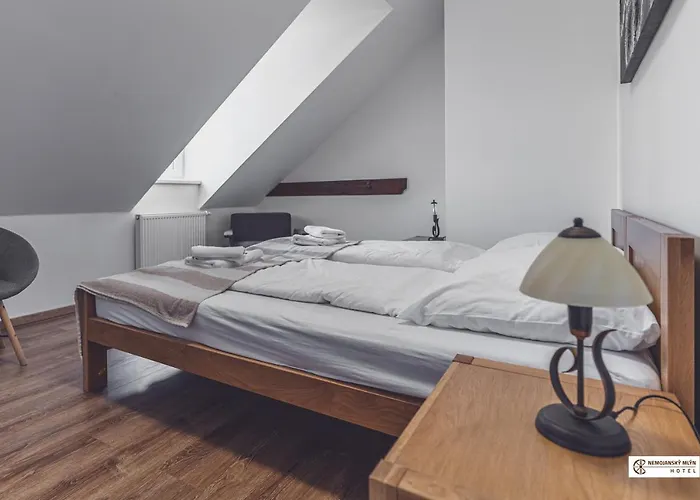 Hotel Nemojansky Mlyn 3*