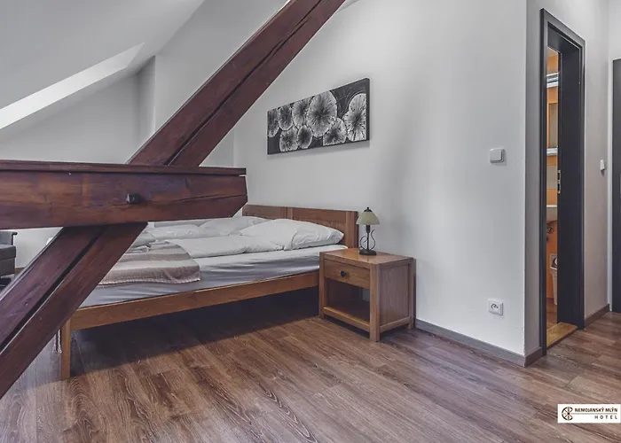 Nemojansky Mlyn Hotel