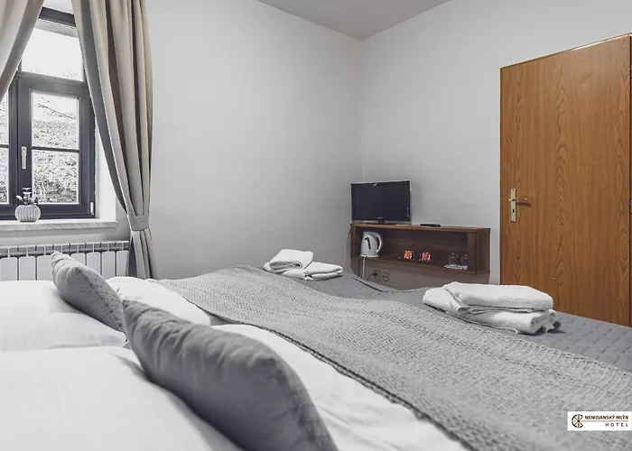 Nemojansky Mlyn Hotel 3*