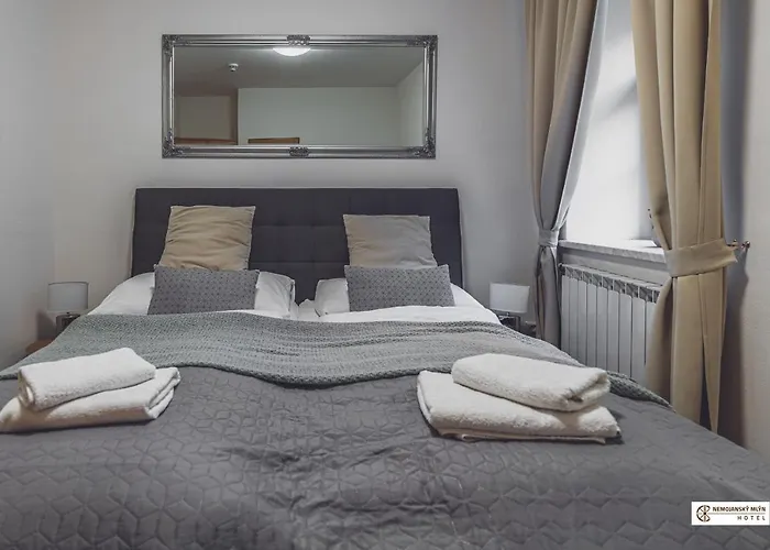 Hotel Nemojansky Mlyn Nemojany