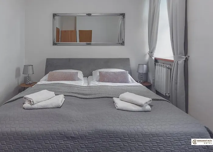 Hotel Nemojansky Mlyn Nemojany
