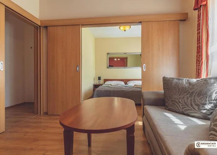 Nemojansky Mlyn Hotel Nemojany
