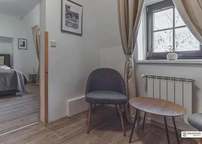 Hotel Nemojansky Mlyn 3*