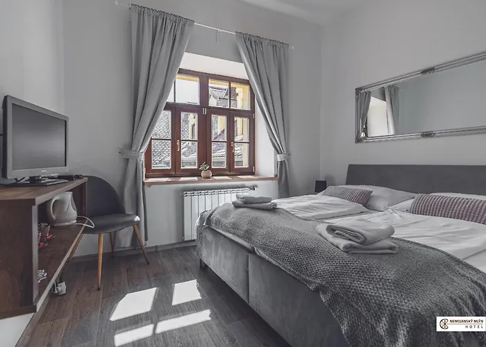 מלון Nemojansky Mlyn 3*