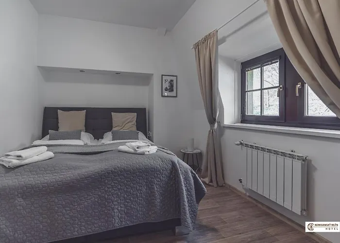 Hotel Nemojansky Mlyn