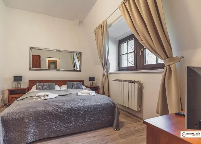 Hotel Nemojansky Mlyn 3*