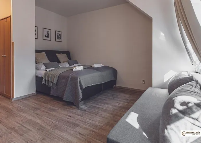 Hotel Nemojansky Mlyn 3*