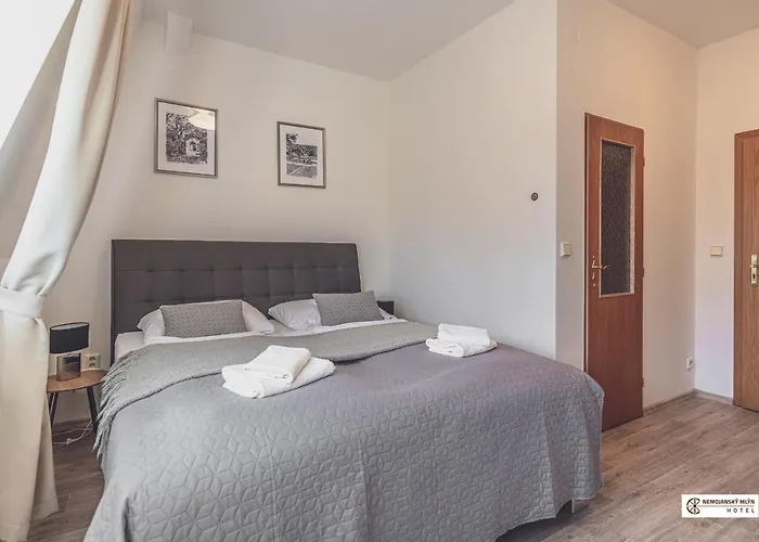Hotel Nemojansky Mlyn
