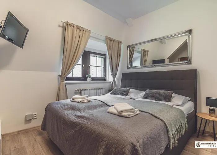 Hotel Nemojansky Mlyn Nemojany