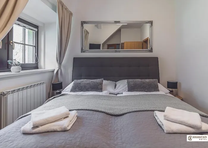 Hotel Nemojansky Mlyn