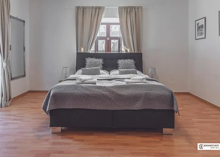 Hotel Nemojansky Mlyn 3*