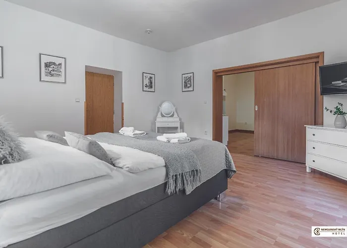 Nemojansky Mlyn Hotel 3*