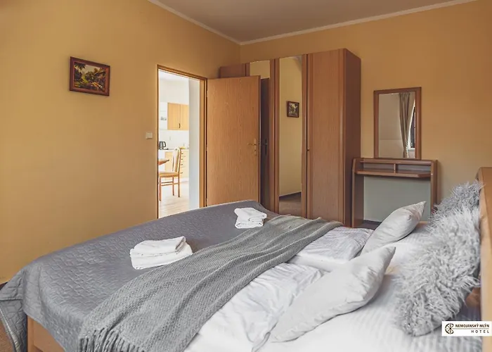 Nemojansky Mlyn Hotel