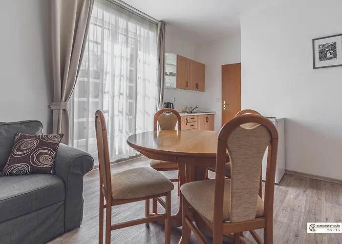מלון Nemojansky Mlyn 3*