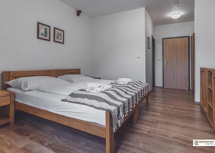 Nemojansky Mlyn Hotel 3*