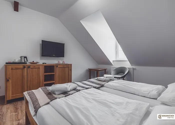 Hotel Nemojansky Mlyn